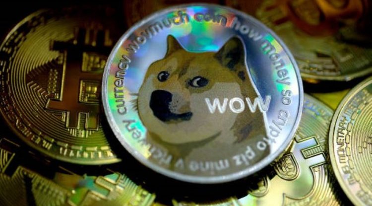 WHAT IS SHIBA INU: A New Competitor Coin on the Market