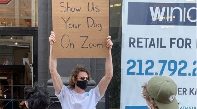 The famous "Dude with sign" from Instagram is the star of fashion collaborations!