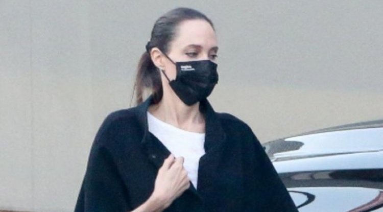 Angelina Jolie Was Photographed While Going To Her Ex Husband's Place!