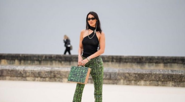 The model showed her nipples, fans attacked her!