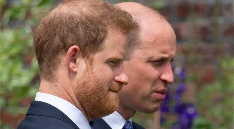 Prince Harry is preparing a surprise, more juicy details about the royal family will be found out!