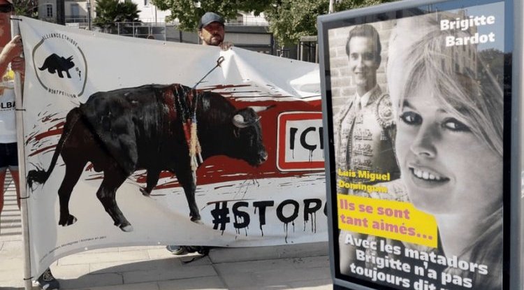 Brigitte Bardot wants to ban bullfighting, so the mayor made fun of her: 'You didn't tell no to the matadors '