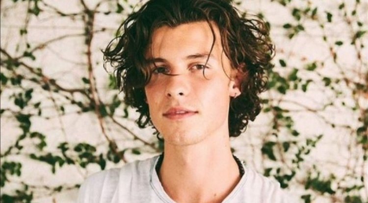 Shawn Mendes revealed a detail about his love life!