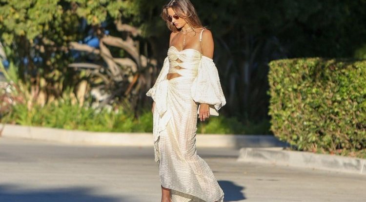 In this revealing dress Alessandra Ambrosio showed her flawless body and turned the street into a catwalk