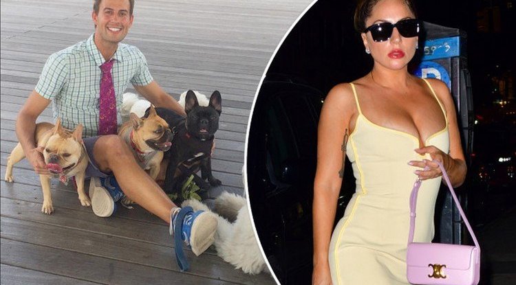 Did Lady Gaga forget about her employee who almost got killed walking her dogs?