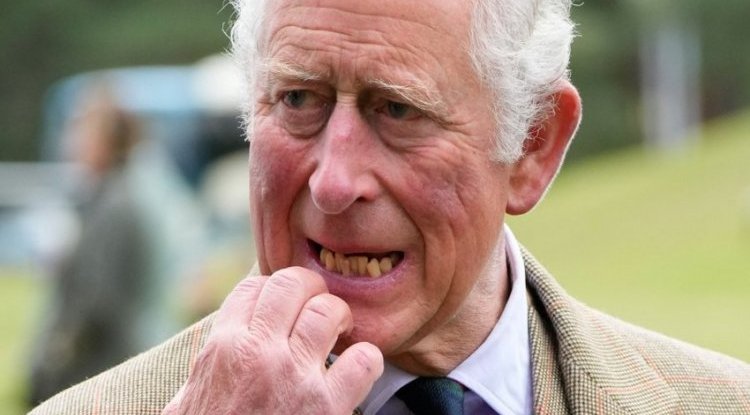 Prince Charles is incredibly sad about everything that has happened in the family, and most of all he wants to meet his granddaughter Lilibet