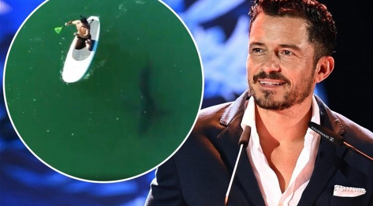 He will remember this for the rest of his life: Orlando Bloom survived encounter with great white shark