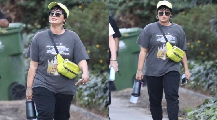 Drugs and alcohol have completely changed the beauty we remember from the beginning of her career, it is difficult to recognize Demi Lovato at first