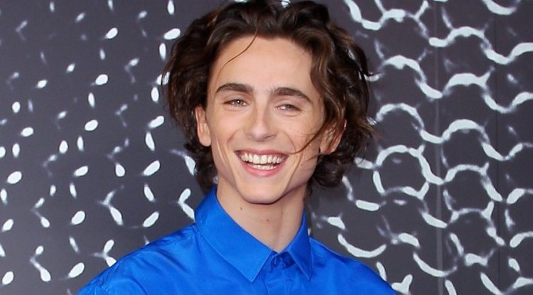 This is why the whole world is talking about the young Timothée Chalamet of atypical beauty