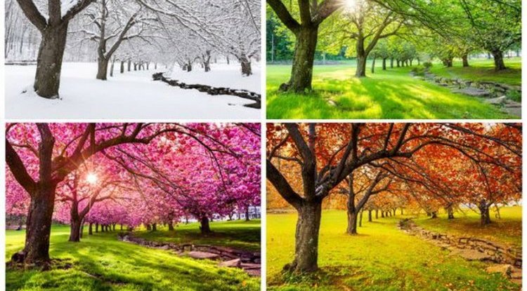 People born in winter are practical, and those in summer are more amorous in nature