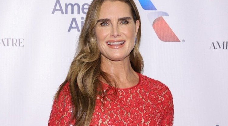 Brooke Shields attended first party 10 months after breaking femur
