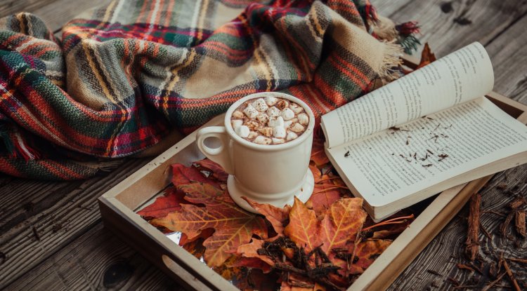 Family fun: 3 best ways to spend your autumn