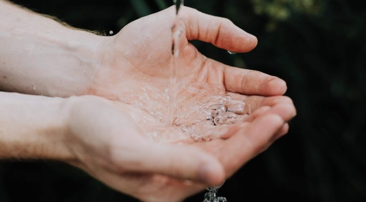 Do you wash your hands properly?
