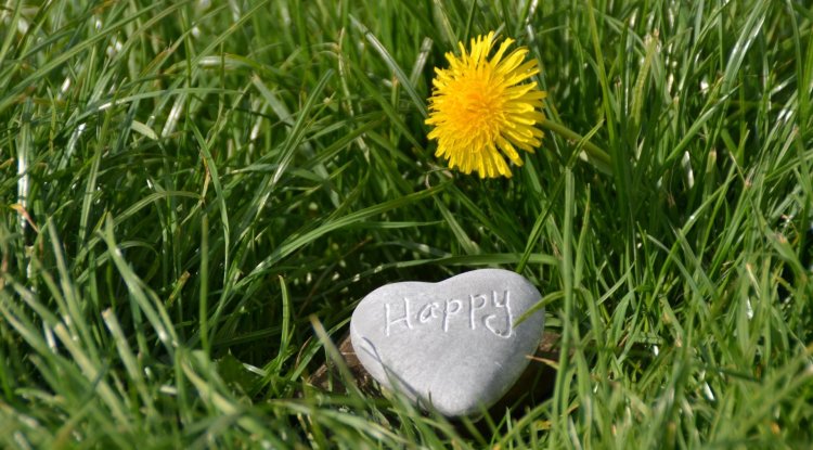 Give up these things for a happier life