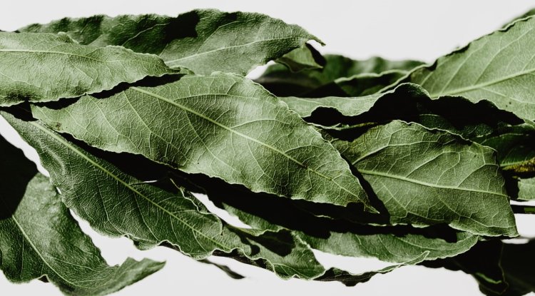 Get your clothes looking new with laurel!