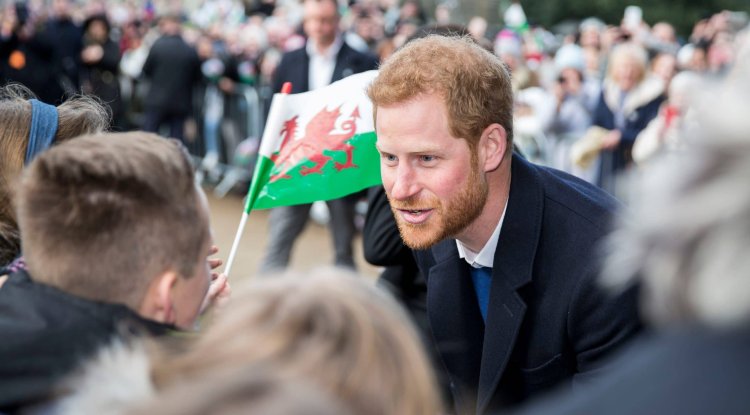 The British public is angry at Prince Harry!