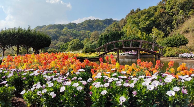 Prepare Your Yard For The Arrival Of Spring In 5 Easy Steps