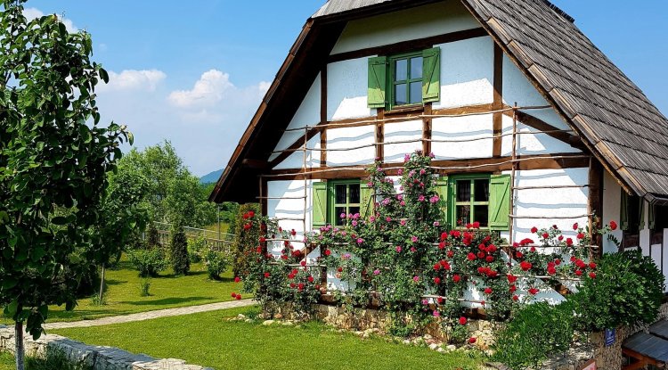 Seven beautiful flowers that bring good luck!