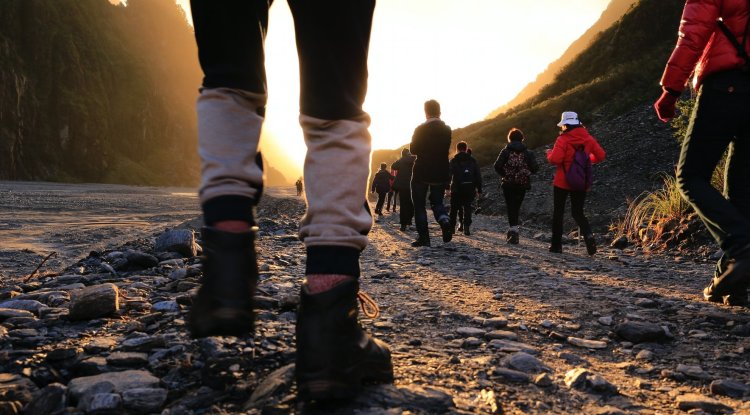 How to lose weight by walking?