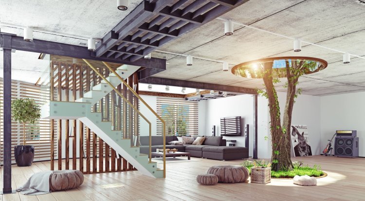 A tree that grows in a house?