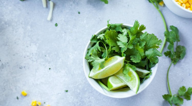 Stunning Benefits of Parsley Oil