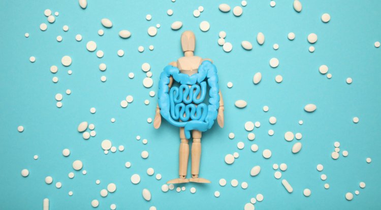 Good bacteria in the service of health