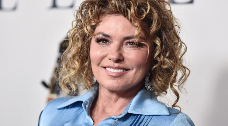 Shania Twain In Tiny Dress