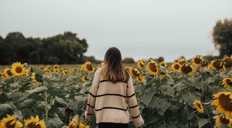 How To Change Hairstyle Without Hairdresser
