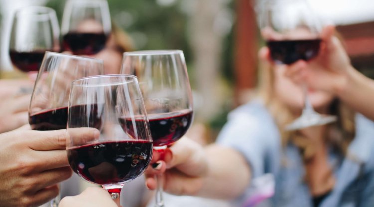 A Beginner's Guide To Wine Knowledge