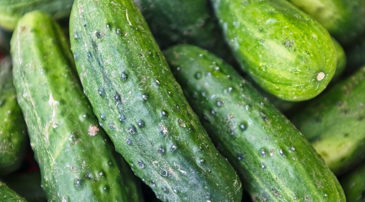 Cucumbers: Nutrition Facts & Health Benefits