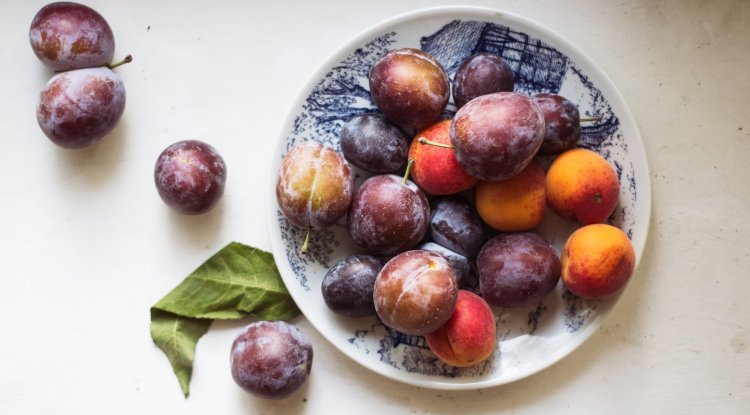 Plum - A treasure Of Health And Energy