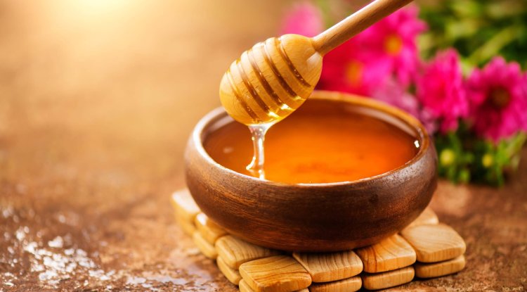 Try An Amazing Hibernation Diet With Honey