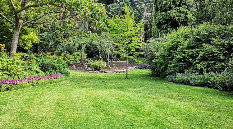 How to prepare the garden for spring