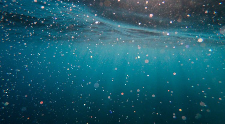 4 reasons why your body retains water