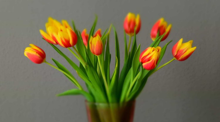 6 new ideas for Easter home decorating