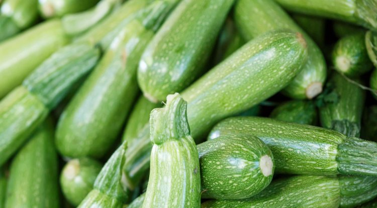 Cheap and healthy: Homemade zucchini pate