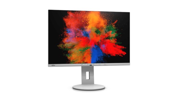 Fujitsu Display P2410 TS CAM review