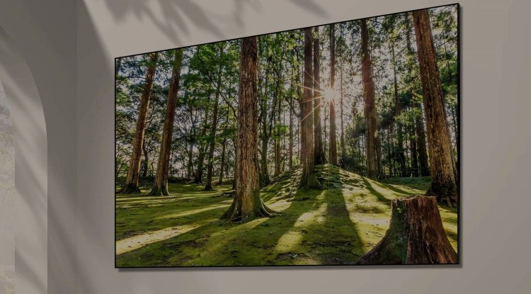 BUYING A TV: Look for these 7 features