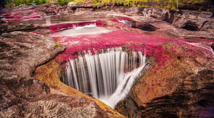 A river of five colors in the heart of Colombia