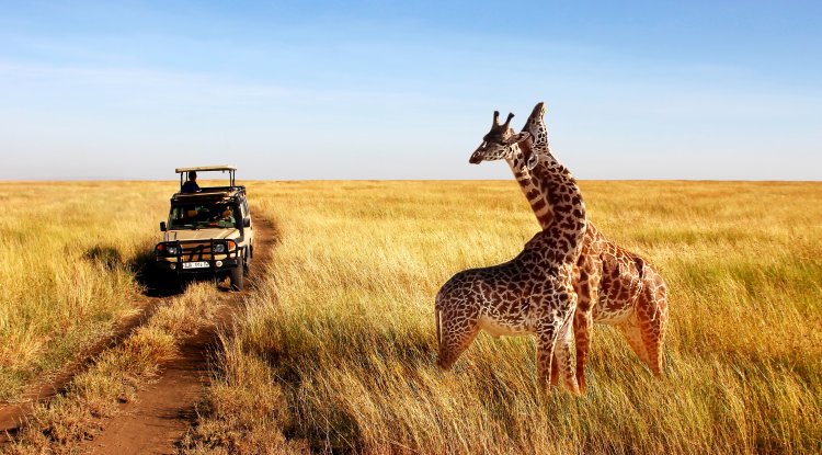 Beautiful destinations to visit in Tanzania