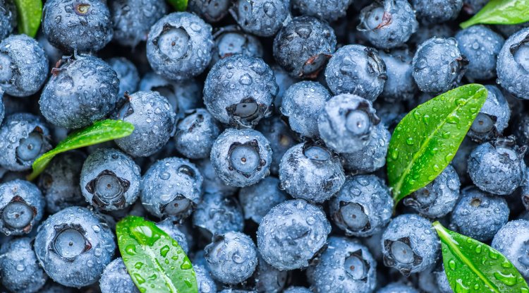 Six healing foods with medicinal superpowers