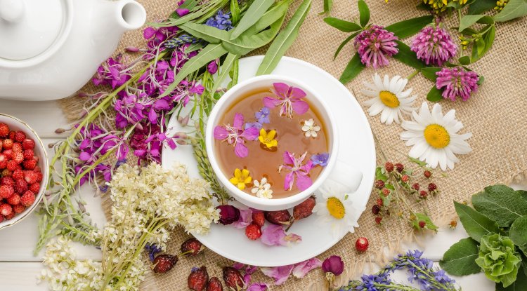 Best teas to drink in summer