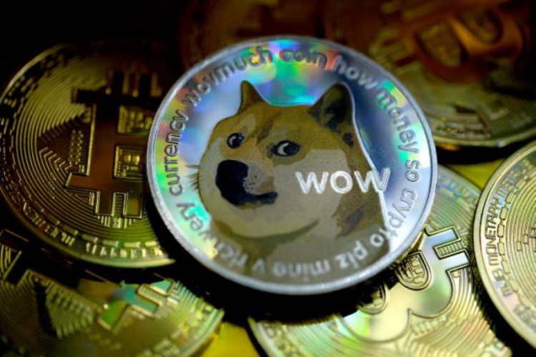 WHAT IS SHIBA INU: A New Competitor Coin on the Market