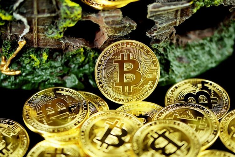 Why have the Bitcoin and other cryptocurrencies plummeted?
