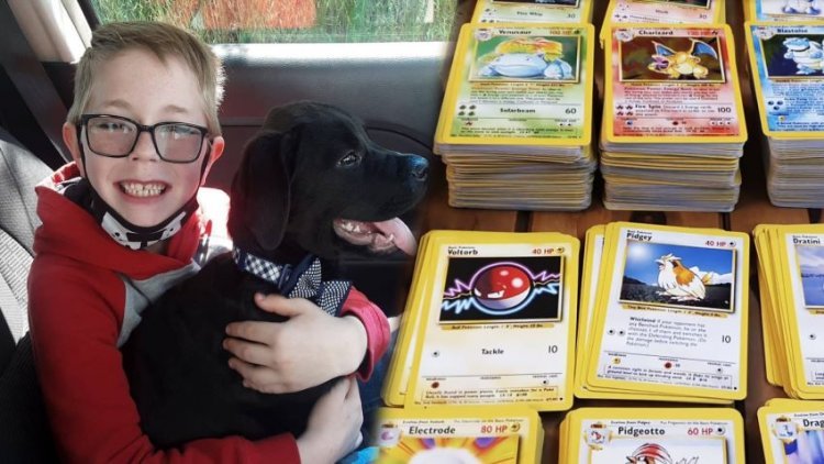 The eight-year-old who sold his precious collection to save his dog delighted the world with his gesture!