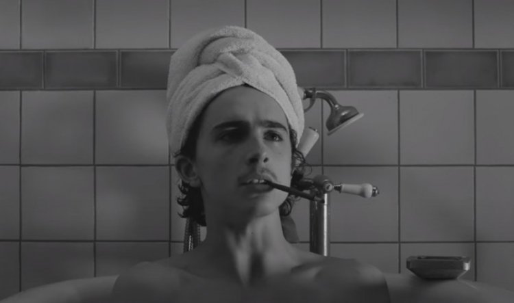 In a clip of Wes Anderson’s new film, Timothée Chalamet takes a bath. Watch the whole scene!