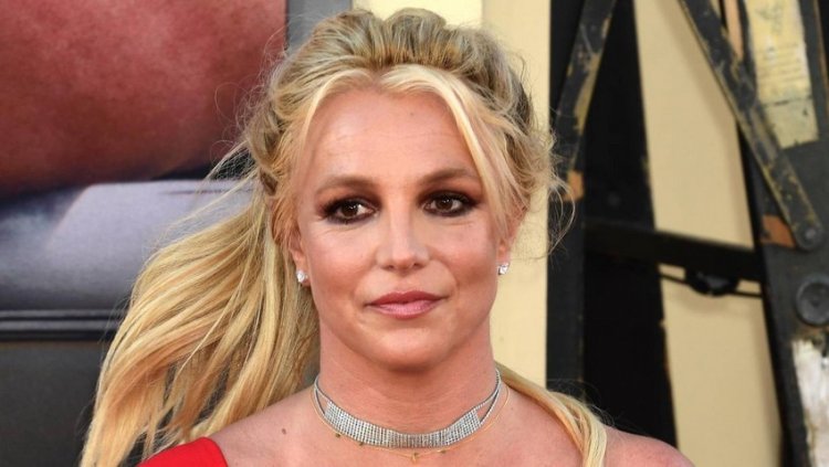 Britney Spears abusing dogs? They were taken away by her caretaker after one nearly died