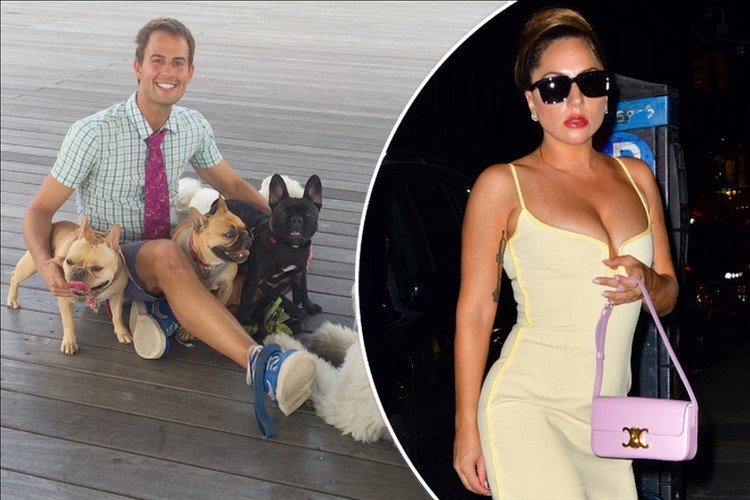 Did Lady Gaga forget about her employee who almost got killed walking her dogs?