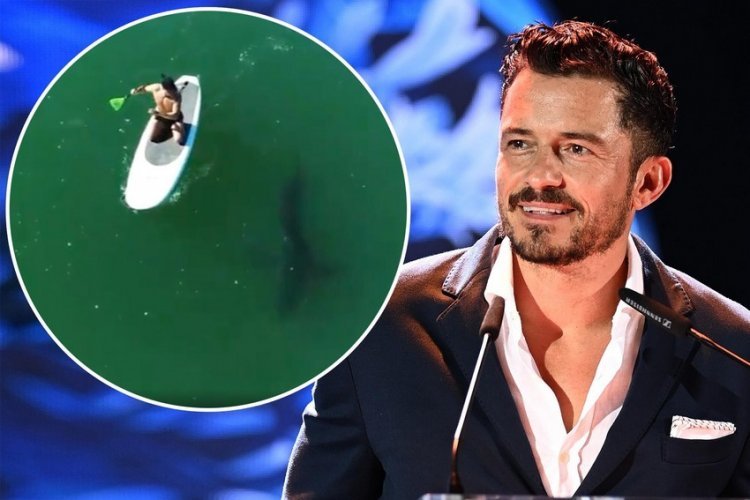 He will remember this for the rest of his life: Orlando Bloom survived encounter with great white shark