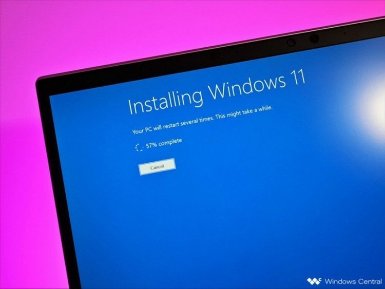 Windows 11 available to ALL users: Here's how to download and install it on your computer (VIDEO)